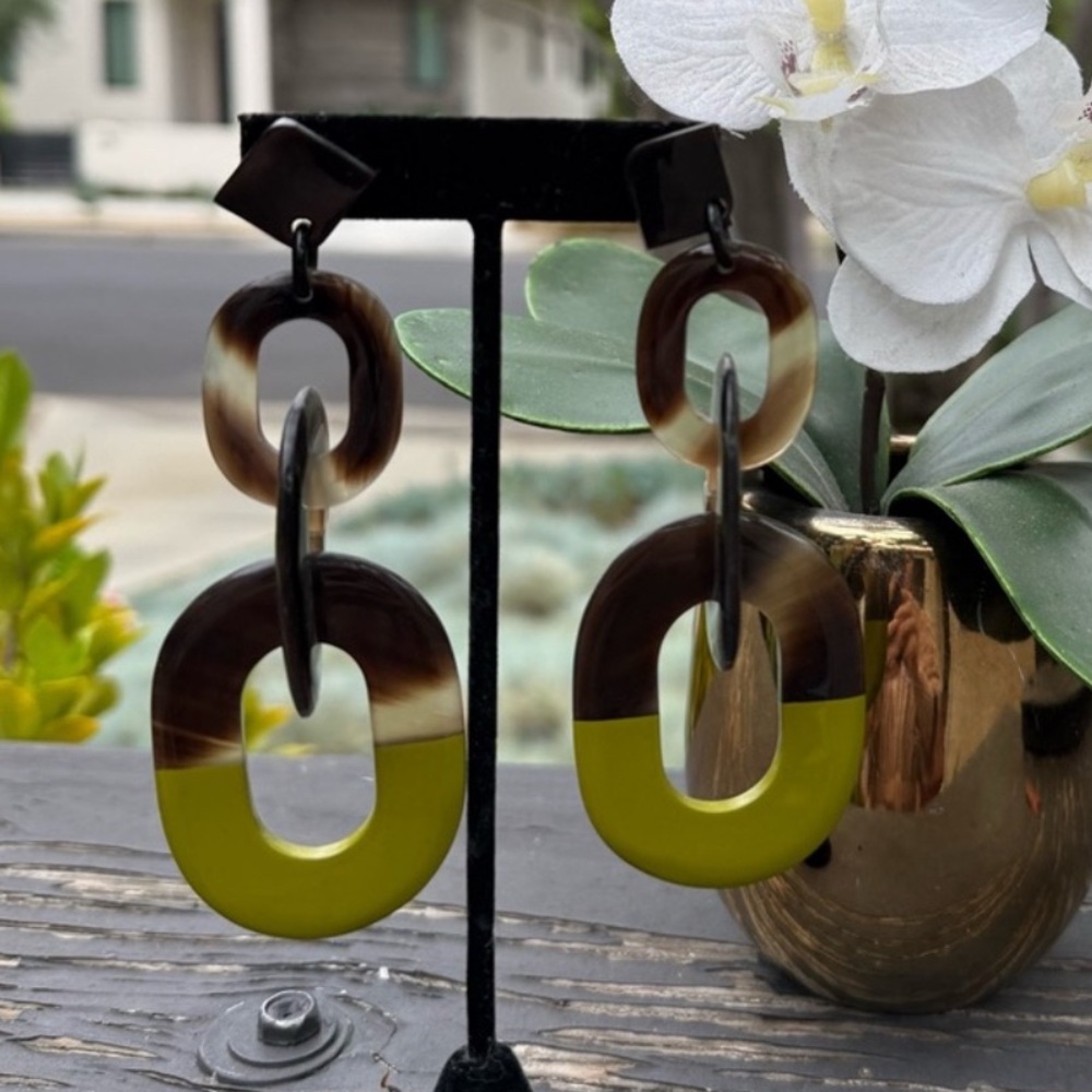 Elegant Brown and green buffalo horn lacquer Earrings